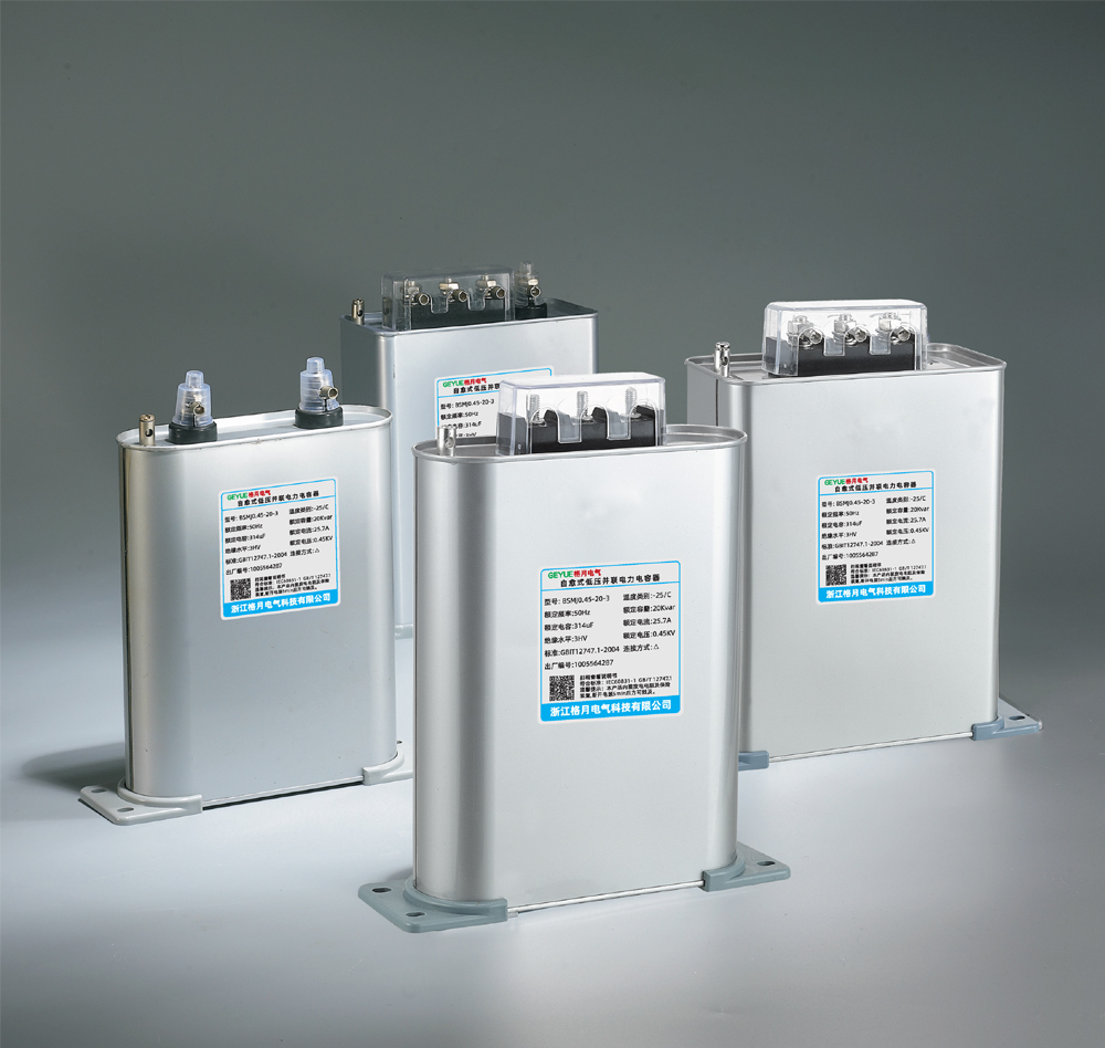 电力电容器
